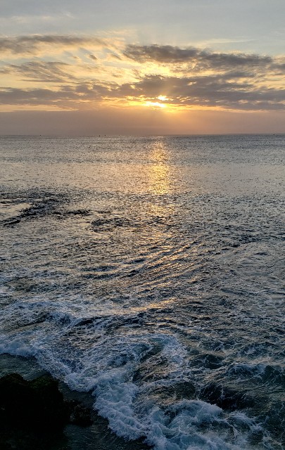 f:id:sanumafudou:20190727225005j:image f:id:sanumafudou:20190727225005j:image