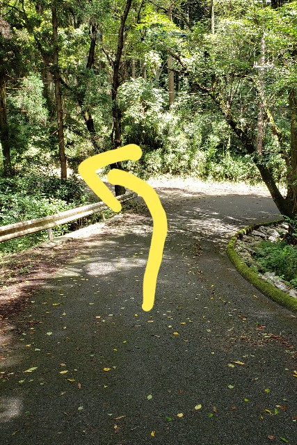 f:id:sanumafudou:20190728155212j:image