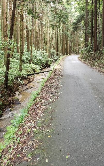 f:id:sanumafudou:20190728155717j:image