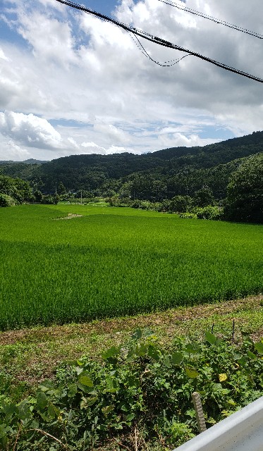 f:id:sanumafudou:20190728155944j:image