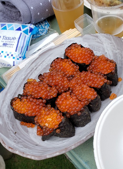 f:id:sanumafudou:20190817192133j:image f:id:sanumafudou:20190817192133j:image