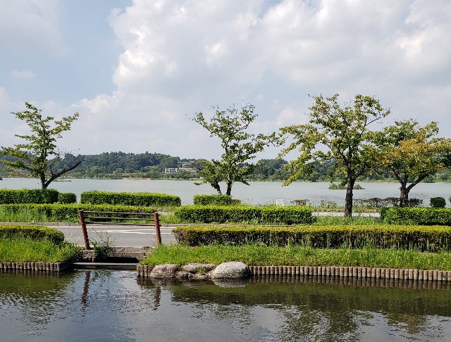 f:id:sanumafudou:20190906205708j:image f:id:sanumafudou:20190906205708j:image