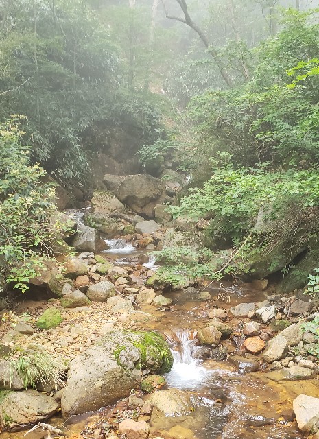 f:id:sanumafudou:20190923163953j:image f:id:sanumafudou:20190923163953j:image