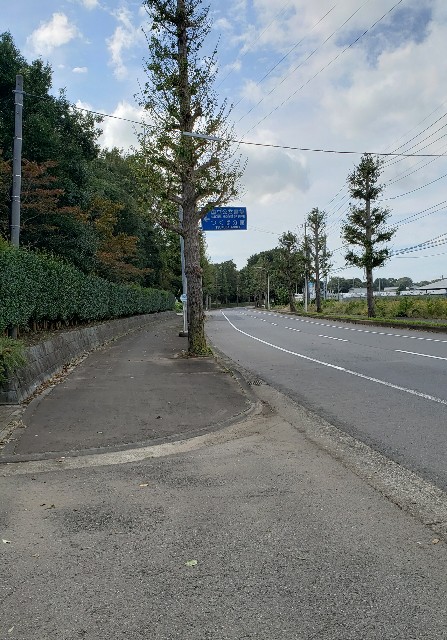 f:id:sanumafudou:20190926215611j:image f:id:sanumafudou:20190926215611j:image