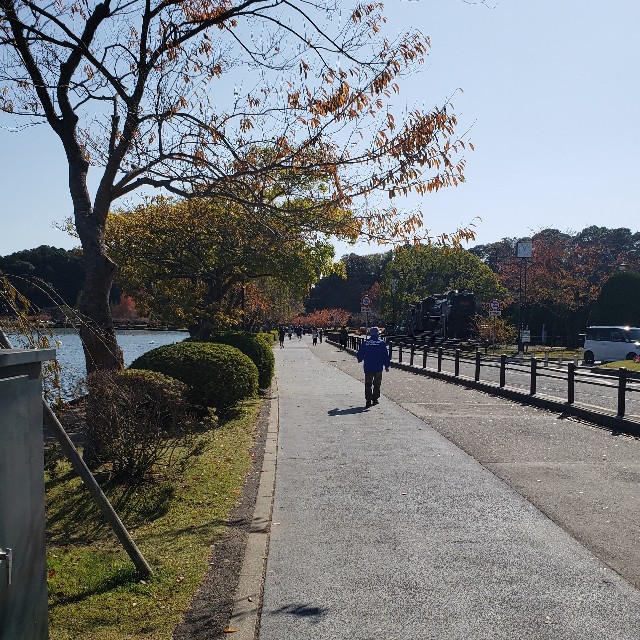f:id:sanumafudou:20191110205250j:image f:id:sanumafudou:20191110205250j:image