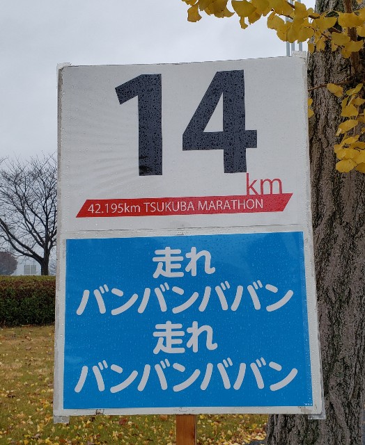 f:id:sanumafudou:20191122130422j:image f:id:sanumafudou:20191122130422j:image
