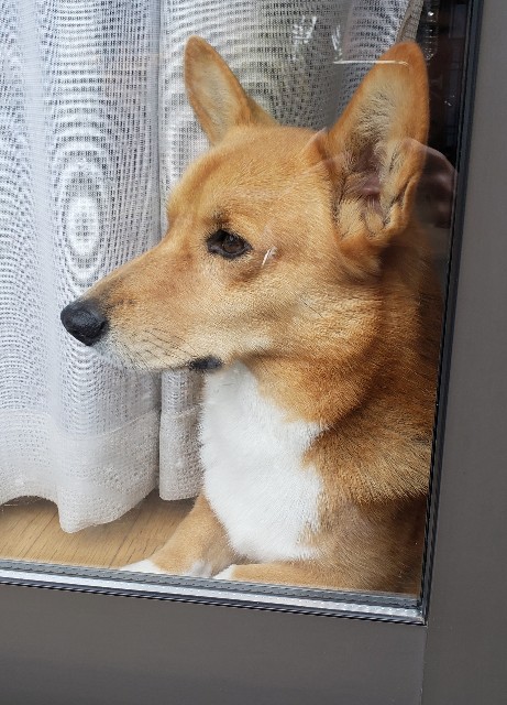 f:id:sanumafudou:20191122132636j:image f:id:sanumafudou:20191122132636j:image