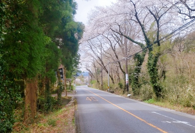 f:id:sanumafudou:20200328201437j:image