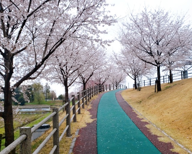 f:id:sanumafudou:20200329202059j:image f:id:sanumafudou:20200329202059j:image