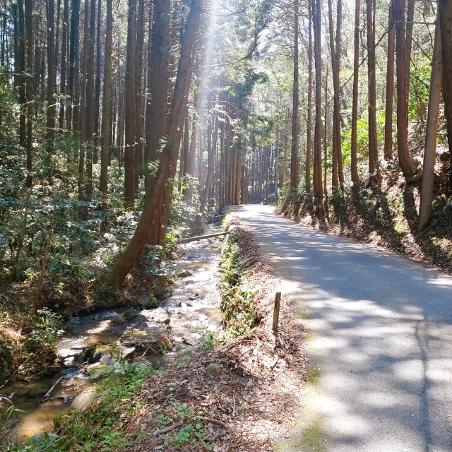 f:id:sanumafudou:20200404203957j:image f:id:sanumafudou:20200404203957j:image