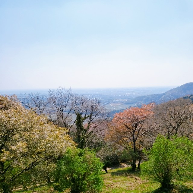 f:id:sanumafudou:20200404204741j:image f:id:sanumafudou:20200404204741j:image