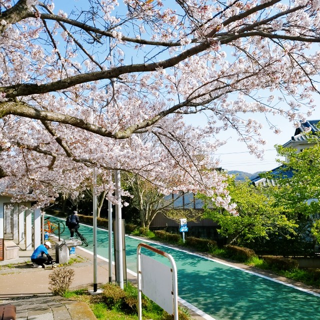 f:id:sanumafudou:20200404205228j:image f:id:sanumafudou:20200404205228j:image