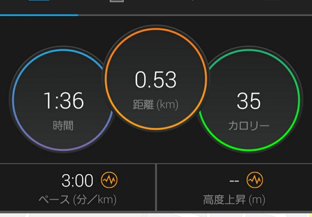 f:id:sanumafudou:20200501204151j:image