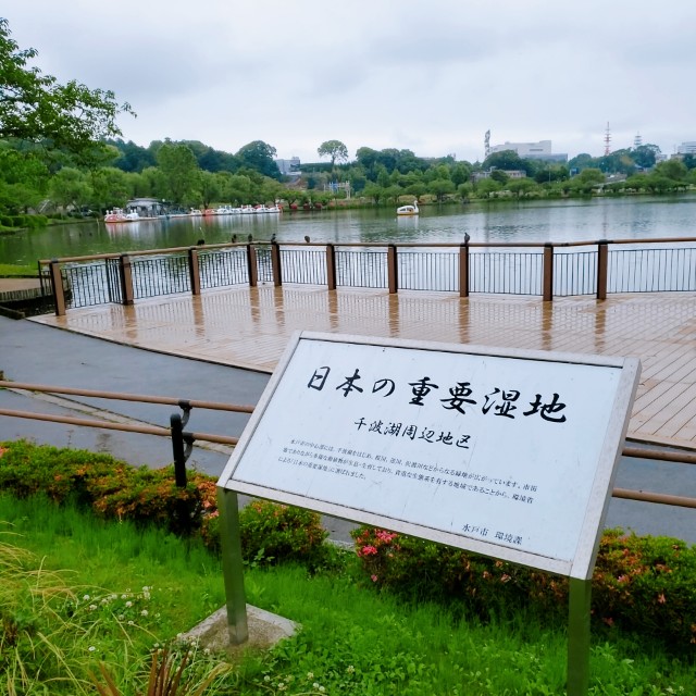 f:id:sanumafudou:20200614180222j:image f:id:sanumafudou:20200614180222j:image