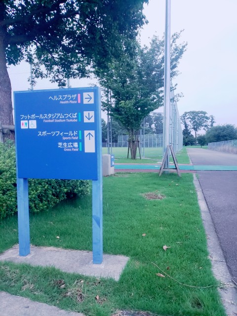 f:id:sanumafudou:20200716222442j:image f:id:sanumafudou:20200716222442j:image