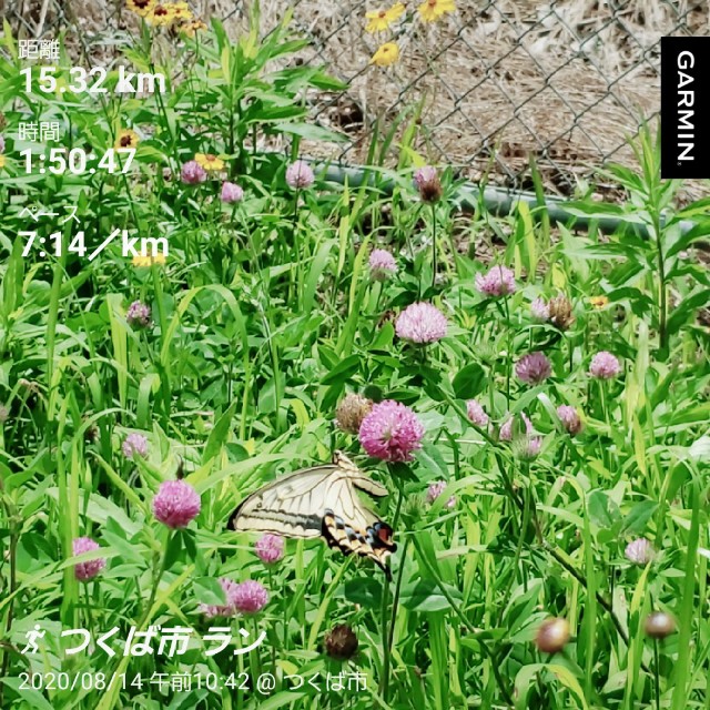 f:id:sanumafudou:20200814232756j:image