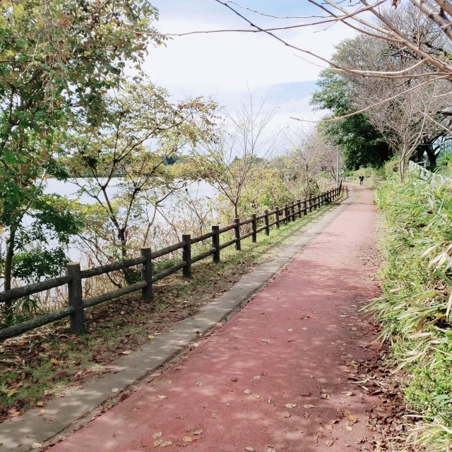 f:id:sanumafudou:20201018194033j:image