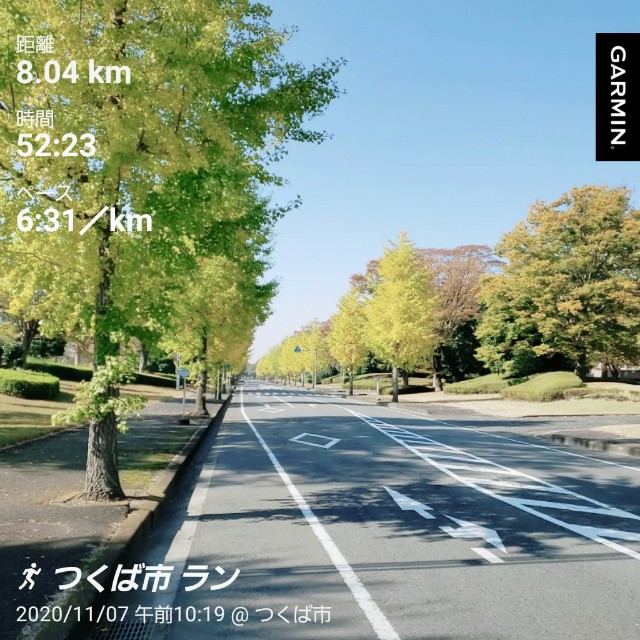 f:id:sanumafudou:20201107131929j:image f:id:sanumafudou:20201107131929j:image