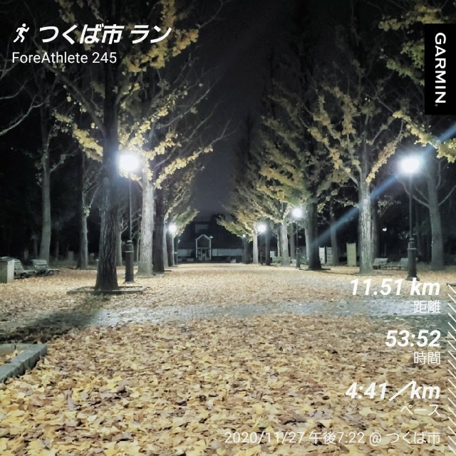 f:id:sanumafudou:20201127231035j:image f:id:sanumafudou:20201127231035j:image