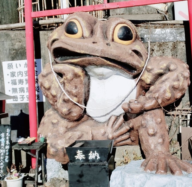 f:id:sanumafudou:20201231150516j:image