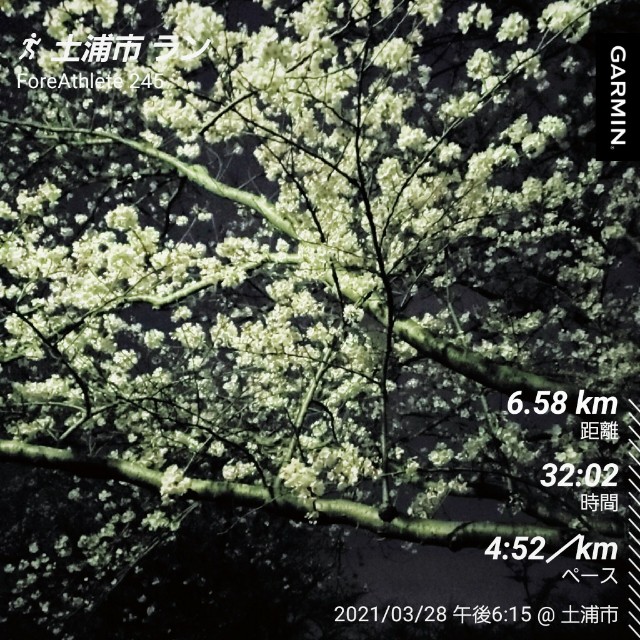 f:id:sanumafudou:20210328214603j:image f:id:sanumafudou:20210328214603j:image
