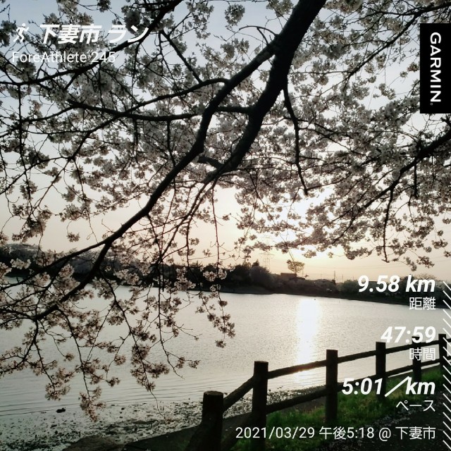 f:id:sanumafudou:20210331190227j:image f:id:sanumafudou:20210331190227j:image