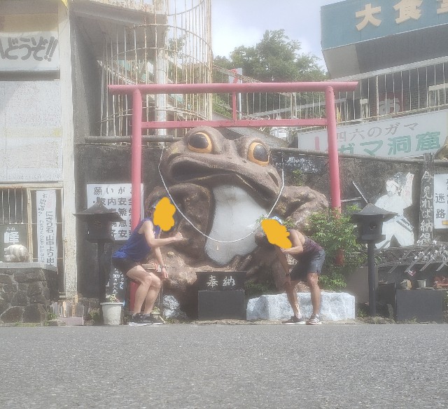 f:id:sanumafudou:20210613233335j:image f:id:sanumafudou:20210613233335j:image