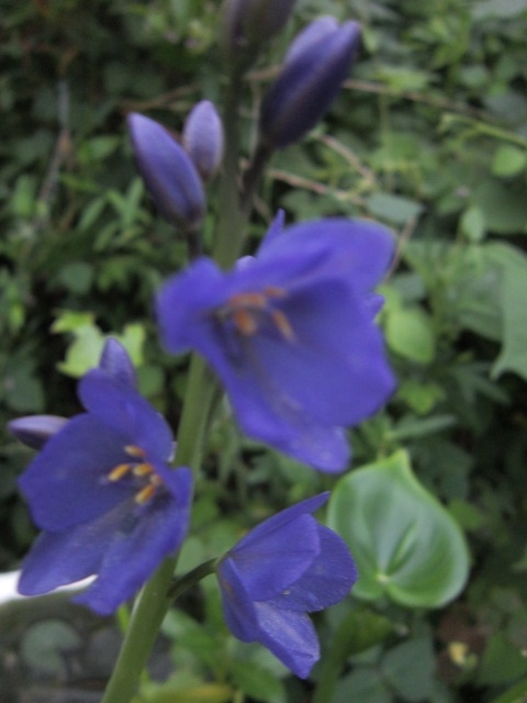f:id:sanyaso-echange:20210910000809j:plain