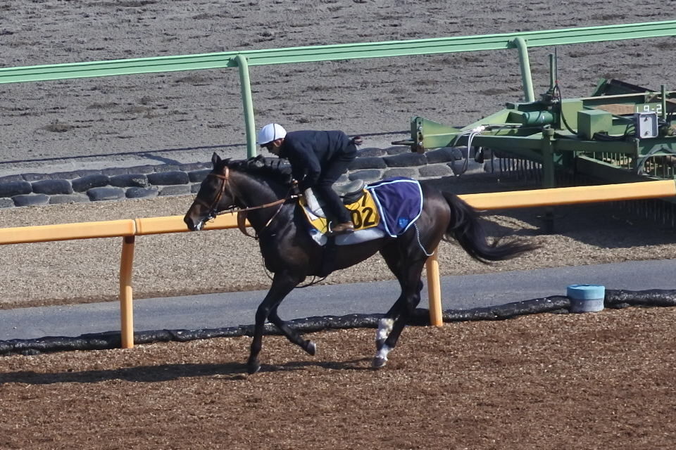 f:id:sanzo2004321:20190322001144j:plain