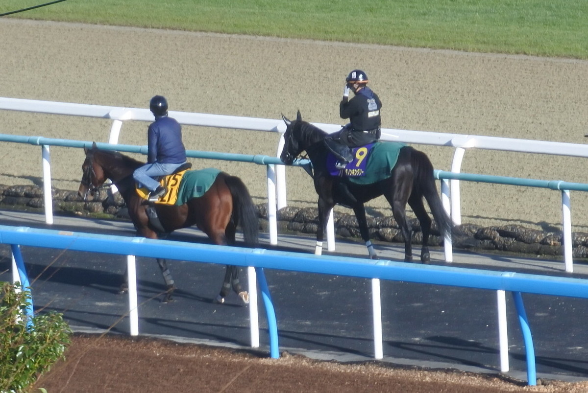 f:id:sanzo2004321:20191108102419j:plain