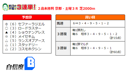 f:id:sanzo2004321:20201020162445p:plain
