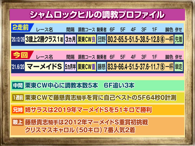 f:id:sanzo2004321:20210620182307j:plain