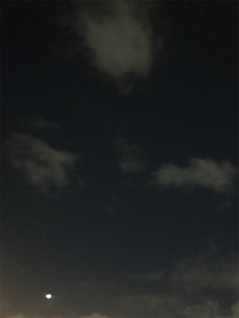 f:id:sanzo3chan:20190208221651j:image