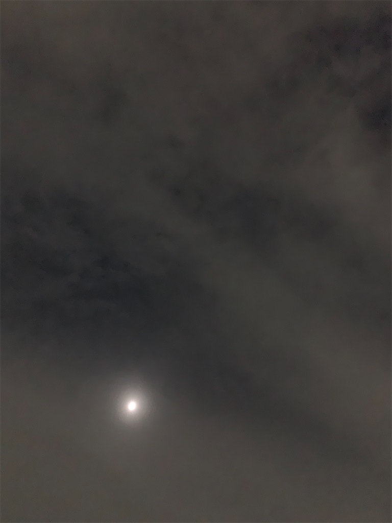 f:id:sanzo3chan:20191206201040j:image