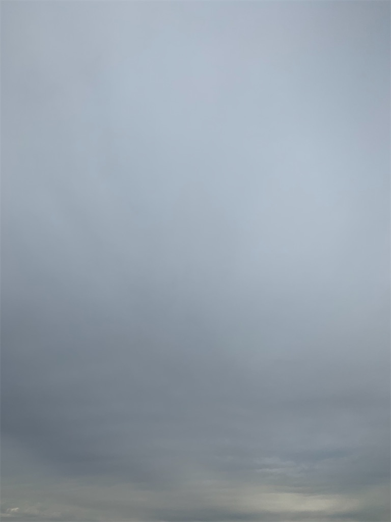 f:id:sanzo3chan:20191207112916j:image