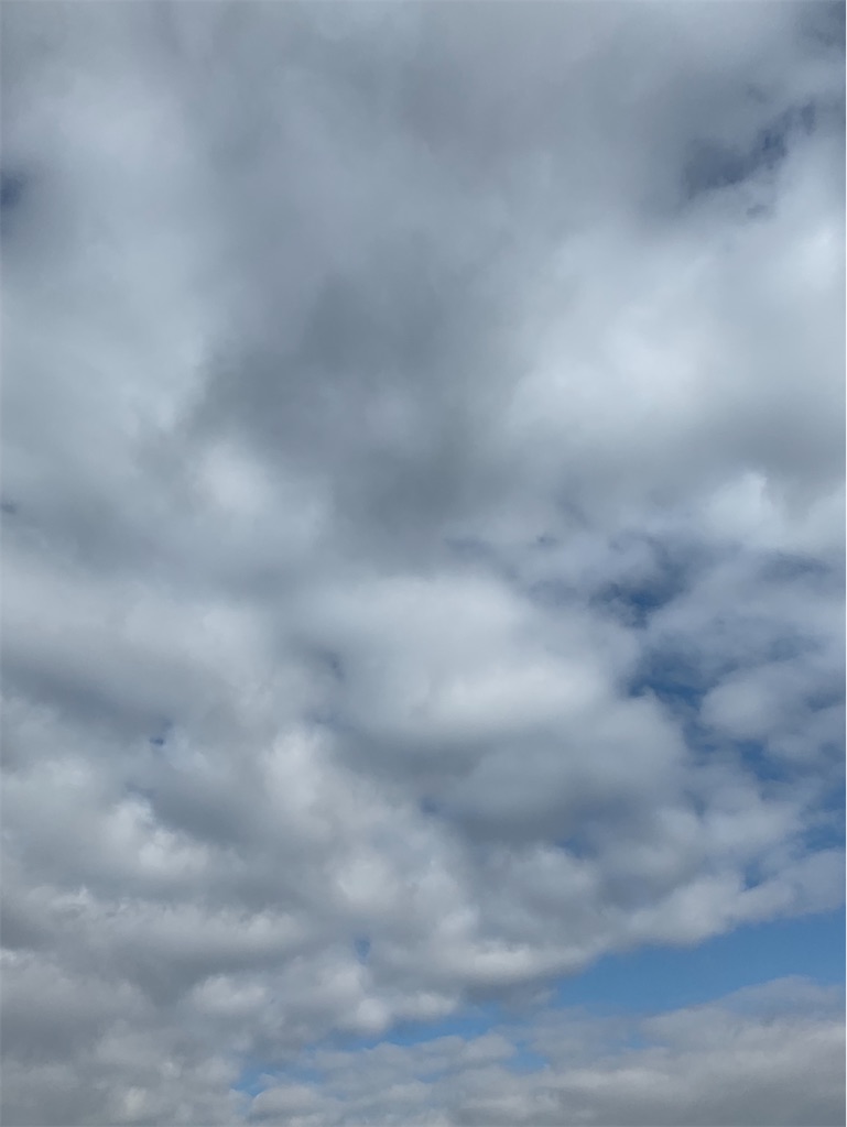 f:id:sanzo3chan:20191208104333j:image