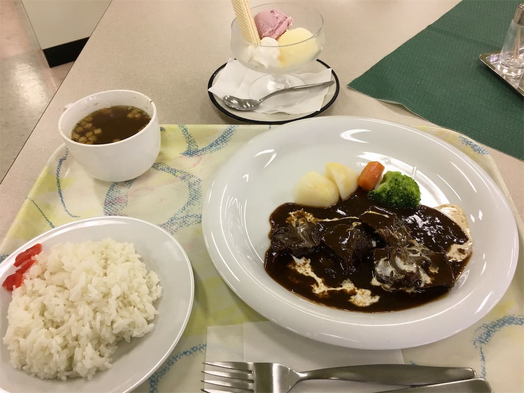 f:id:saobanira:20190622202946j:image