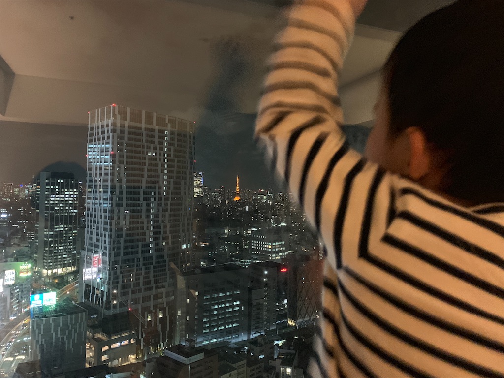 f:id:saohimco:20181107231032j:image f:id:saohimco:20181107231032j:image