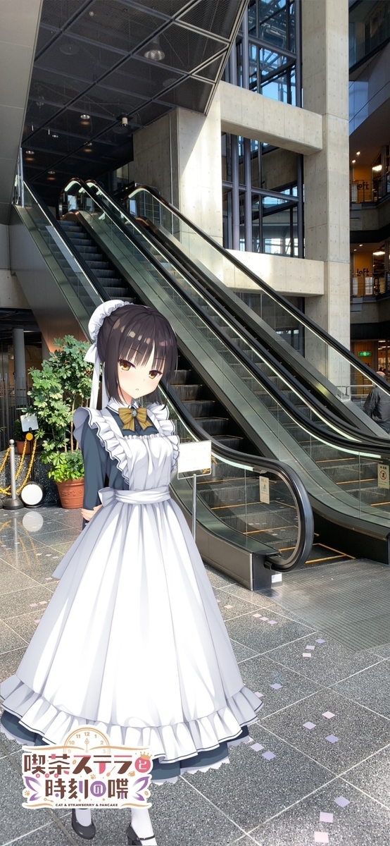f:id:saokawakou:20200308025033j:plain f:id:saokawakou:20200308025033j:plain