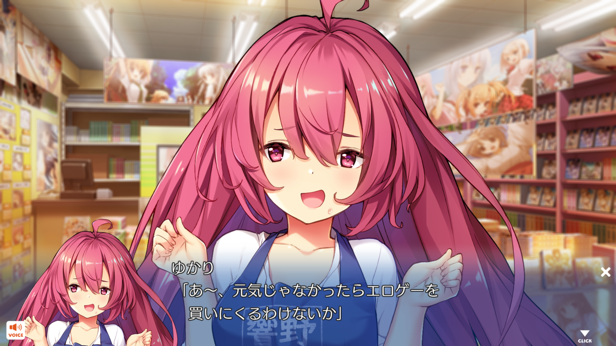 f:id:saokawakou:20210220011455p:plain