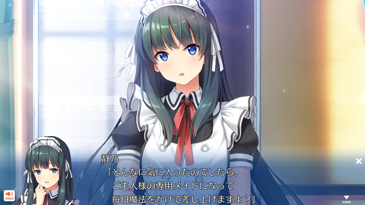 f:id:saokawakou:20210220190432p:plain