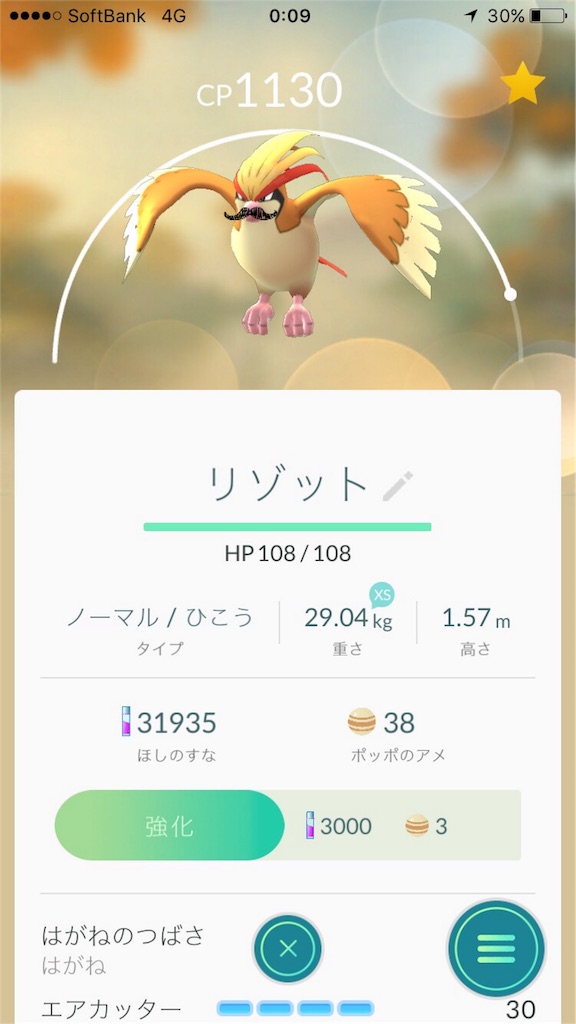 f:id:saokazusaokazu07:20160808001100j:image f:id:saokazusaokazu07:20160808001100j:image