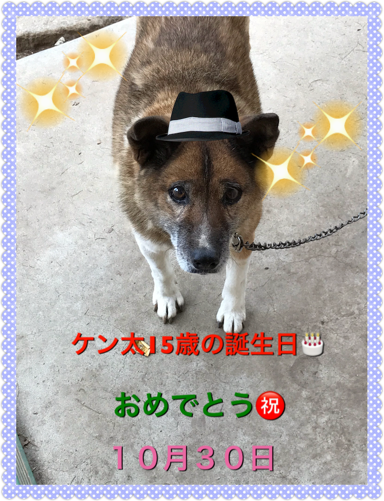 f:id:saokazusaokazu07:20181106165457p:image f:id:saokazusaokazu07:20181106165457p:image