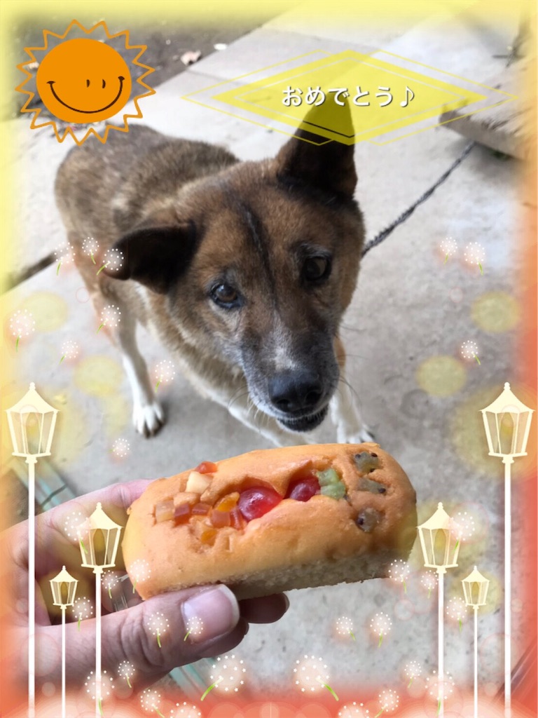 f:id:saokazusaokazu07:20181106165709j:image f:id:saokazusaokazu07:20181106165709j:image