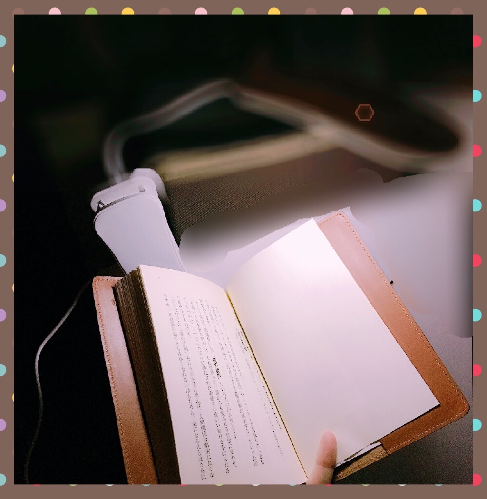 f:id:saokkma:20190216235404j:image f:id:saokkma:20190216235404j:image