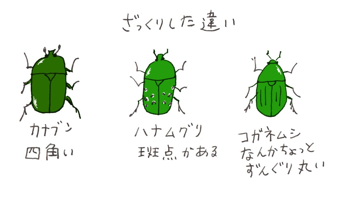 f:id:saomail301:20220226063155j:plain