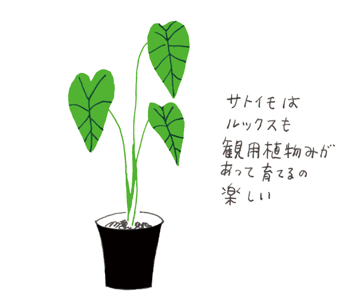 f:id:saomail301:20220314065915j:plain