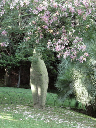 f:id:saori-berlin:20080915115344j:image