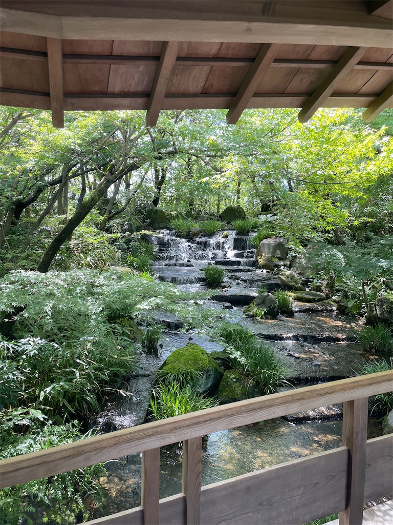 f:id:saori8484:20230826110546j:image
