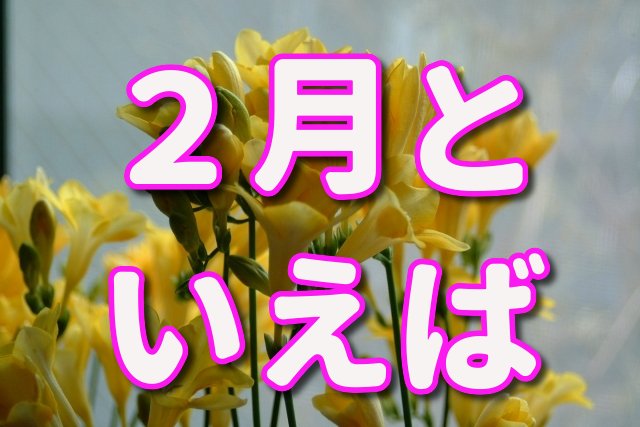 f:id:saoriktan:20191114223019j:plain